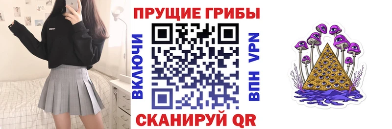 купить   Алапаевск  Галлюциногенные грибы Psilocybe 